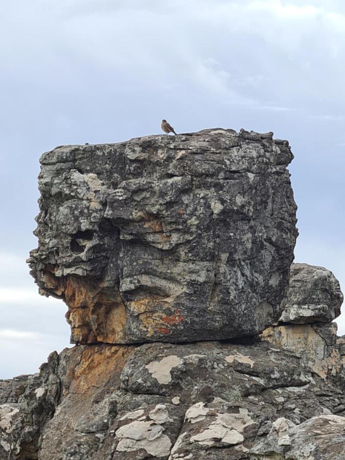 Coddiwomple Cottage Kaapsehoop Esterno foto